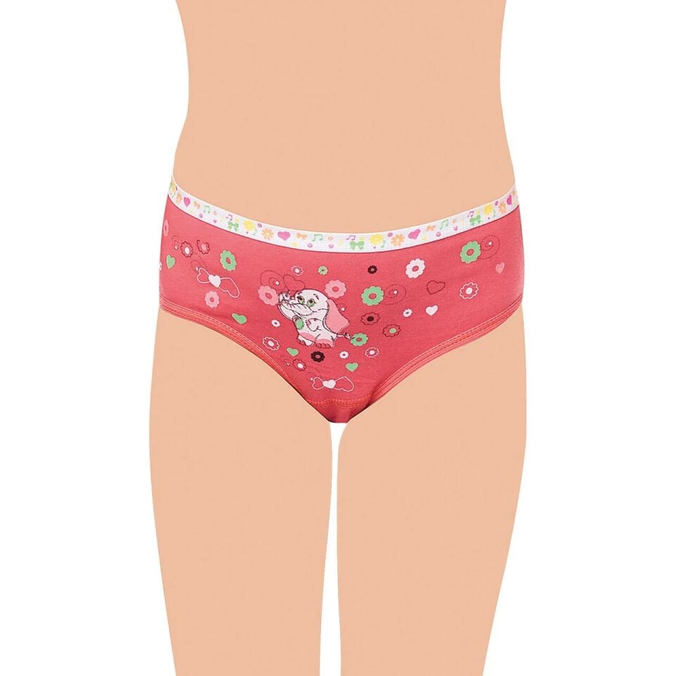 Tutku 832 Elastan Kız Çocuk Önü Baskılı Slip Külot 12'li