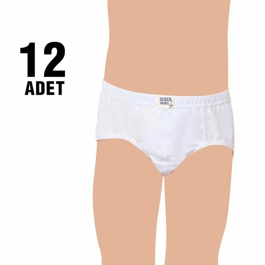 Seher Erkek Çocuk Külot 12'li (SEC37)